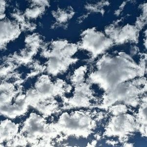 Meet your Posher, Cecilia